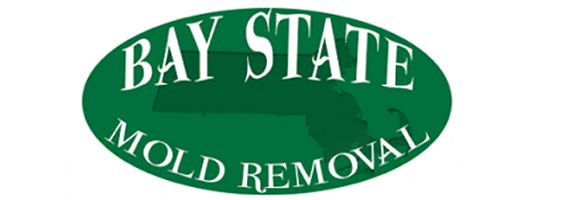 Bay State Exteriors logo